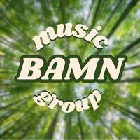 BAMN Music Group