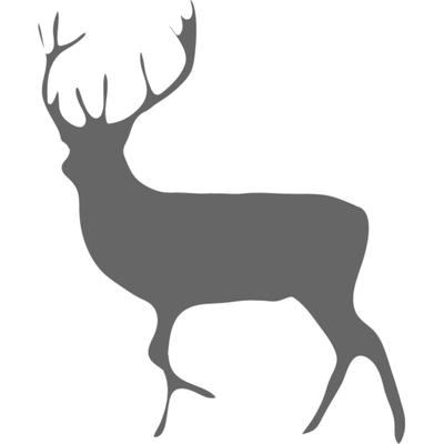 dear.deer.records