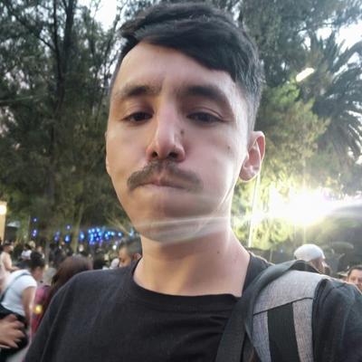 0.el-edu-rollerrante