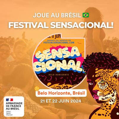 0.festival-bresil-artistes-francais-joue-a