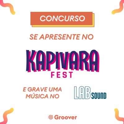 0.groover-x-kapivara-fest-x-estudio-lab-so