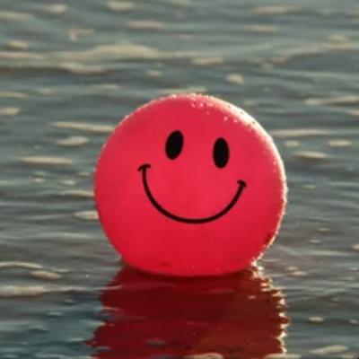 0.happyfrequencygrooverco
