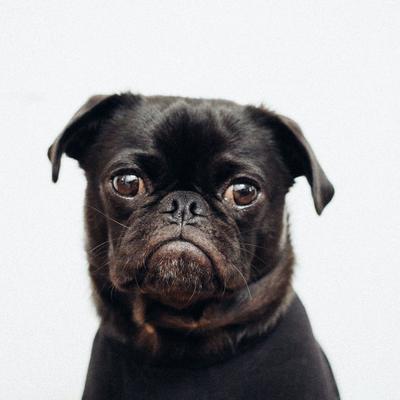 Other Playlists