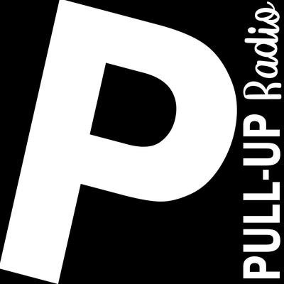 0.pull-up-radio