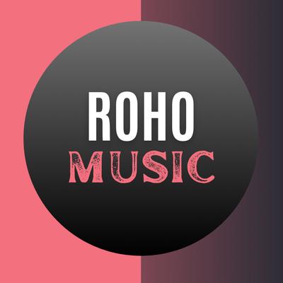 0.roho-music