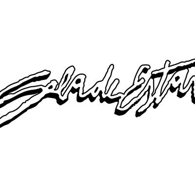 saladeestarlab