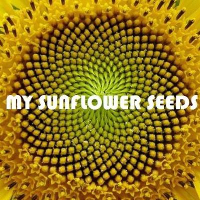 0.sunflower-seeds