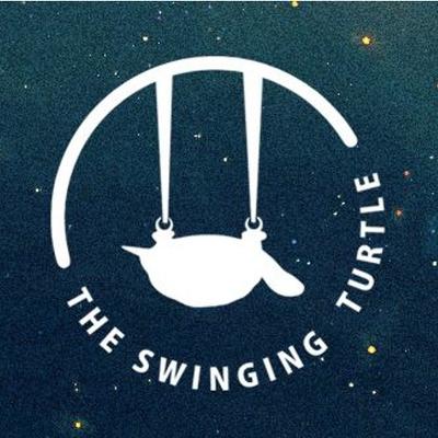 0.swingingturtle-records