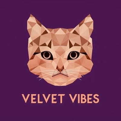 Velvet Vibes Music
