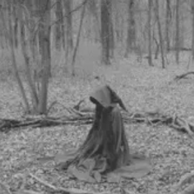 0.witch-in-the-woods