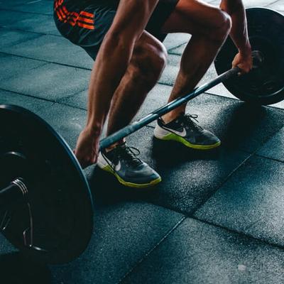 Workout Beast