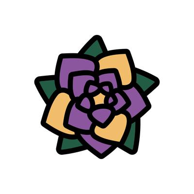 1.bromelia-groove