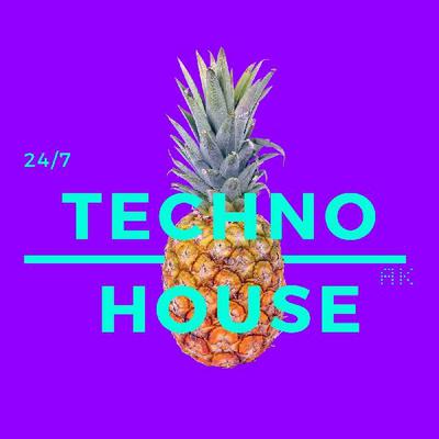 techno-house